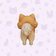 3.png Pomeranian Dog
