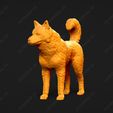 3233-Canadian_Eskimo_Dog_Pose_03.jpg Canadian Eskimo Dog 3D Print Model Pose 03