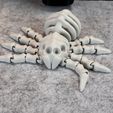 IMG_6839.jpg Flexi Skeleton Spider V2