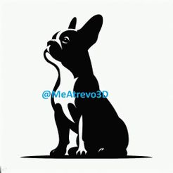 02.jpeg French Bulldog #02