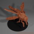 Insect-Airship-Model-Spelljammer-Render-Front.jpg Insect Fantasy Flying Ship Compatible with DnD Spelljammer