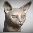 Zrzut-ekranu-2025-06-14-113413.png Abyssinian cat head for 3D printing