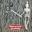 Spartan-Skeleton-Warrior-2.jpg Flexi Skeleton Warrior, Articulated fidget figure, 3mf included