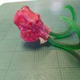 IMG_20210224_172325.jpg " Skull pack x4 (Pitbull-Mammoth-Chat-Owl) " : 3D file for sale