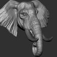 2.jpg Elephant  Head