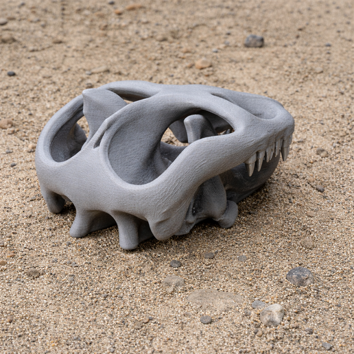 Cionodon Skull