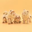 20260726_134816.jpg Articulated Chow Chow 🐾✨