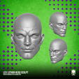 2.png Lex Luthor Fan Art Head 3D printable File