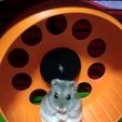 IMG_20220415_231741.jpg 16cm Hamster Wheel