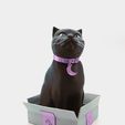single_extrusion2.jpg SCHRODINKY: BRITISH SHORTHAIR CAT IN A BOX – 3D PRINTABLE, MULTI PART MODEL - SINGLE EXTRUSION PACKAGE