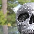 IMG_4828.JPG Skull with diamonds