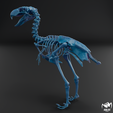 Kelenken-skeleton-wax-5.png Kelenken guillermoi - terror bird skeleton 3D print model