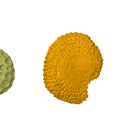 Seeds.png Collection of Real World Pollen Samples, 3D Scanned 1:300 Scale | By CC3D