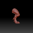 12.png 3D file Dark Elf Lord of the Beasts on Manticore・3D printable model to download