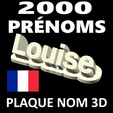 CoverImageFrance.png 3D PLAQUE NOM PERSONNALISÉS POUR LE TOP 2000 DES PRÉNOMS