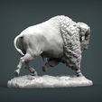 bison3.jpg Bison 3D print model
