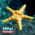Flexi-Starfish-09.jpg STL file Cute Flexi Print-in-Place Starfish・Model to download and 3D print