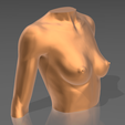 12.png STL file Bust 01・3D printer model to download