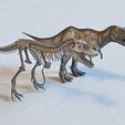 Tyrannosaurus_Rex_and_Skeleton_3.jpg Tyrannosaurus Rex and Skeleton 3D model