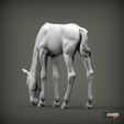 foal-eats5.jpg Escultura Potro come