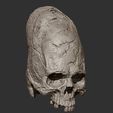 7.jpg Paracas elongated skull