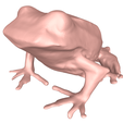 model-2.png Frog