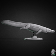 crocodile_swimming_side.png Crocodile Bundle - Animals