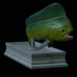 mahi-mahi-mouth-statue-9.png fish mahi mahi / common dolphin fish open mouth statue detailed texture for 3d printing