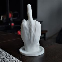 20230223_152254.jpg Middle Finger Sculpture