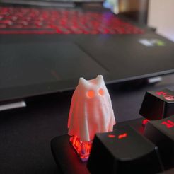 photo1698436176.jpeg Keycap Cat ghost tiny