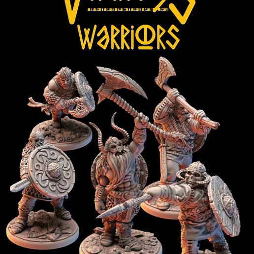 Viking Warriors