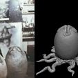 alien-egg-ovomorph-1979-with-roots-and-flat-bottom-3d-model-24d05d1fad.jpg OVOMORPHE D'ŒUF EXTRATERRESTRE IMPRIMABLE EN 3D 1979 3 VARIANTES