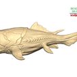 Dunkleosteus-pose-1-6.jpg Ancient Ocean Creature Dunkleosteus 3D sculpting printable model