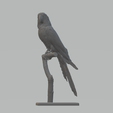 2.png Parrot Tree 3D print model