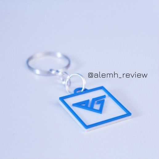 alemh_review F1 Drivers Logo Keychain