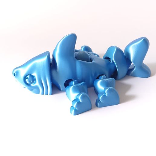 WhatsApp Image 2022-10-24 at 12.15.42 PM (1).jpeg Nice Shark Dog