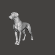 2023-02-21-01_48_21-Window.png FIGURE OF A GREAT DANISH DOG PET FIGURE German Pug German Alano