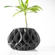 DSC04301.jpg The Viris Planter Pot with Drainage Tray & Stand Included: Modern and Unique Home Decor for Plants and Succulents  | STL File