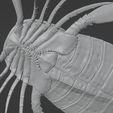 Jaekelopterus3D_09.jpg Sea scorpion (Jaekelopterus rhenaniae)
