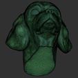22.jpg Puppy of Beagle dog head for 3D printing
