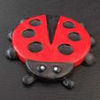 Cod281-Ladybug-Coaster-5.jpeg Ladybug Coaster