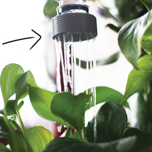 Capture_d__cran_2015-07-11___19.50.21.png Watering Bottle