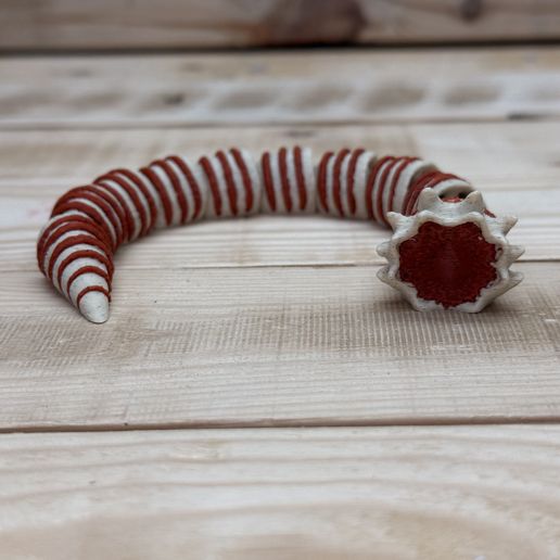 IMG_0402.jpeg Mini sandworm