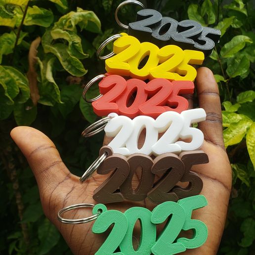 Keychain 2025 3D model