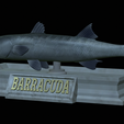 Barracuda-mouth-statue-19.png fish great barracuda / Sphyraena barracuda open mouth statue detailed texture for 3d printing