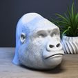 Gorilla-head-Ps5-controller-stand,-Monkey-head-ps5controller-holder,-Gorilla-bust-ps5-controller-Sta.jpg Gorilla head Ps5 controller stand, Monkey head ps5controller holder, Gorilla bust ps5 controller Stand, Perfect Gamer Gift, a295 (1)