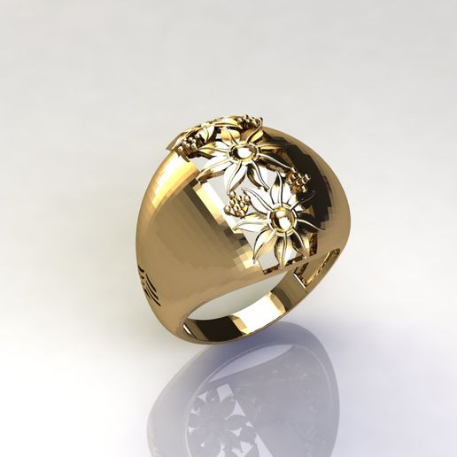 WOMEN PLAIN RING GROUP FTS READY STL 3D PRINT MODEL 3D model