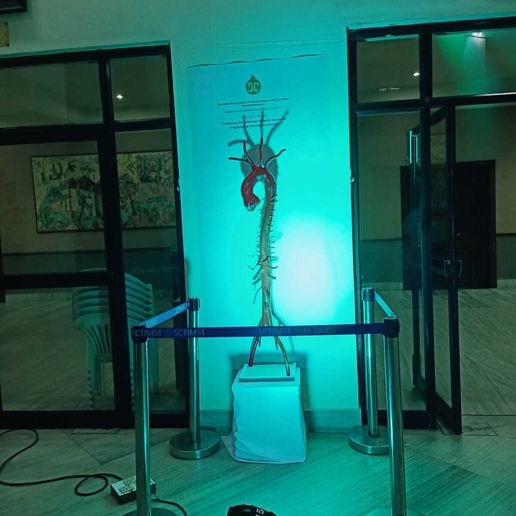 WhatsApp-Image-2024-09-27-at-17.54.55.jpeg Modelo 3D de aorta optimizado para impresión 3D