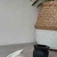 WhatsApp-Image-2023-01-22-at-18.11.06.jpeg Toothbrush cup