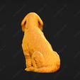 908-Basset_Fauve_de_Bretagne_Pose_06.jpg Basset Fauve de Bretagne Dog 3D Print Model Pose 06